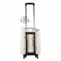 Trolley, Moscow White